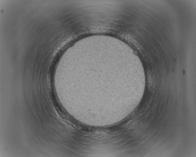 X0000067470684200605051648