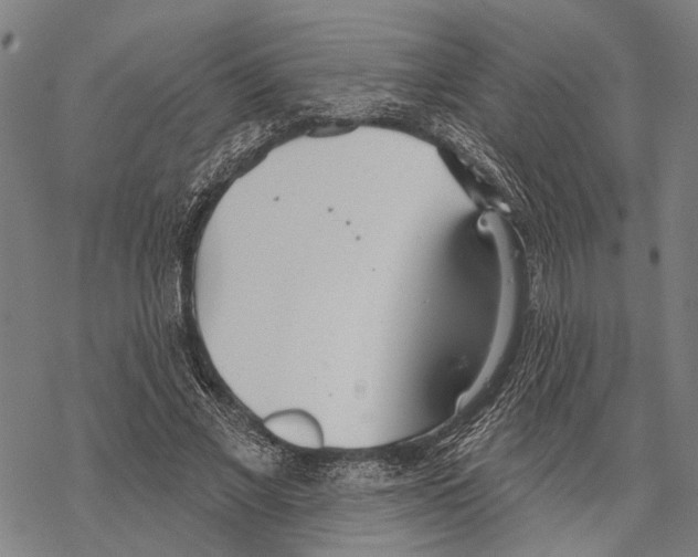 X0000067470685200605051648