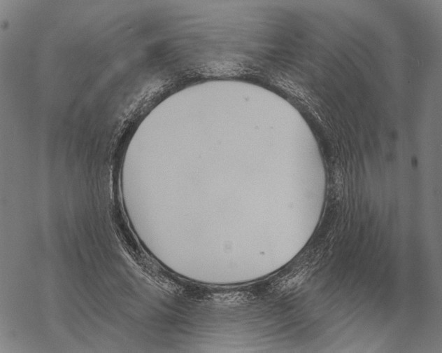 X0000067470686200605051647