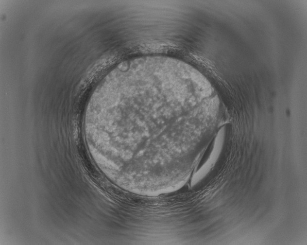 X0000067470687200605051647