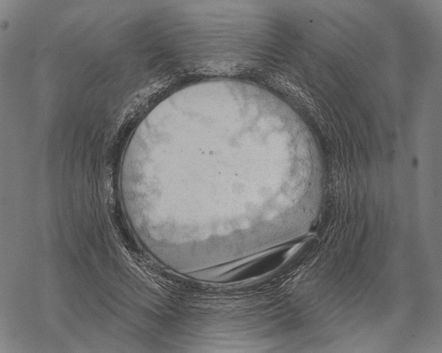 X0000067470688200605051647