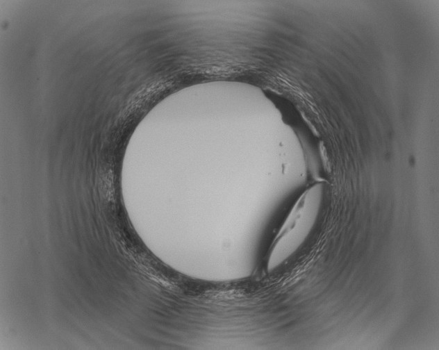 X0000067470689200605051647