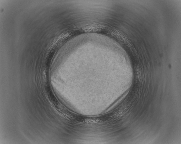 X0000067470690200605051647