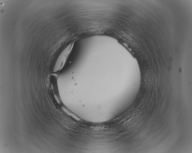 X0000067470693200605051647