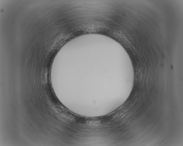 X0000067470694200605051647