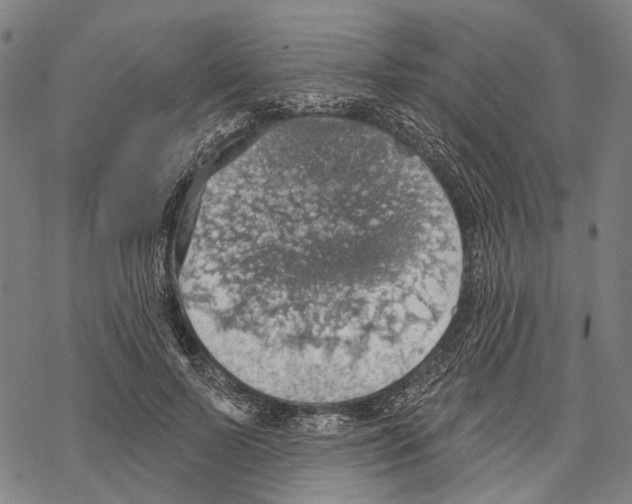 X0000067470695200605051647