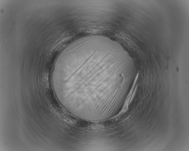 X0000067470696200605051647