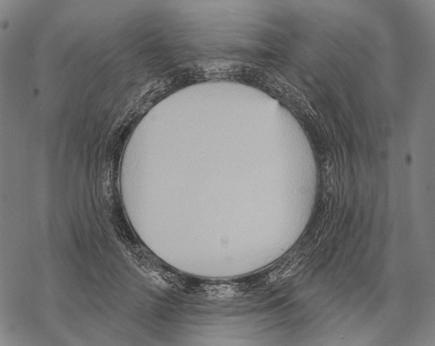 X0000067470698200605051647