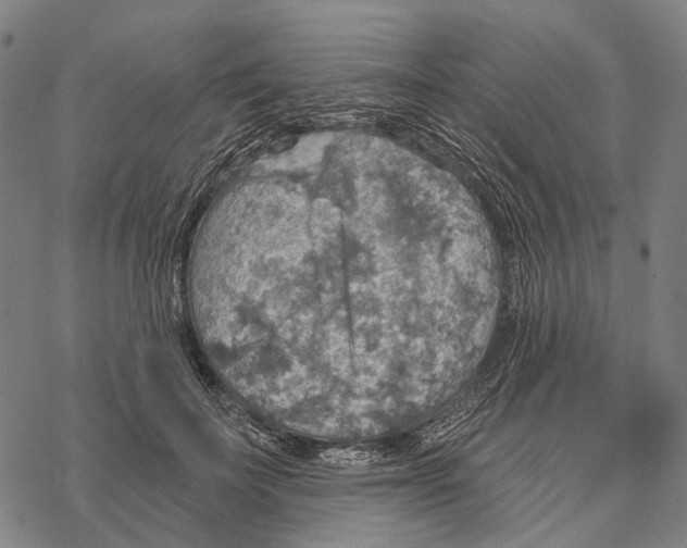 X0000067470699200605051647