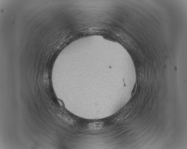 X0000067470700200605051647