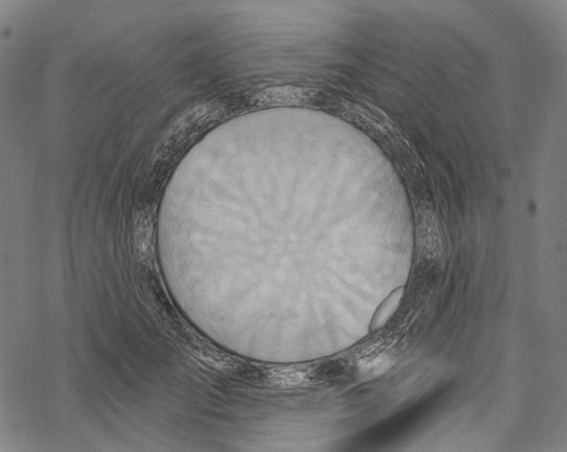 X0000067470701200605051647