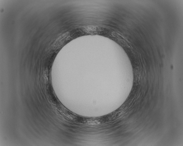 X0000067470702200605051647