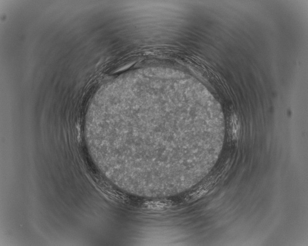 X0000067470703200605051647