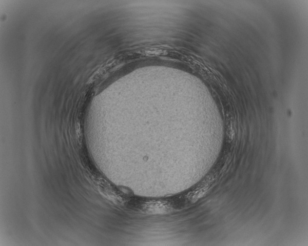 X0000067470704200605051647