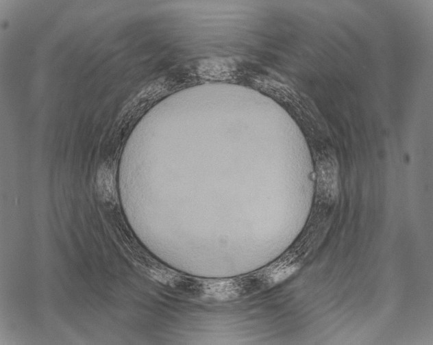 X0000067470705200605051647