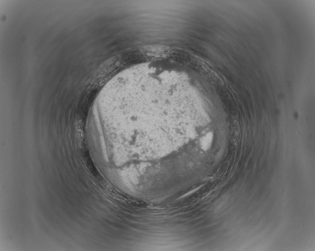 X0000067470707200605051647