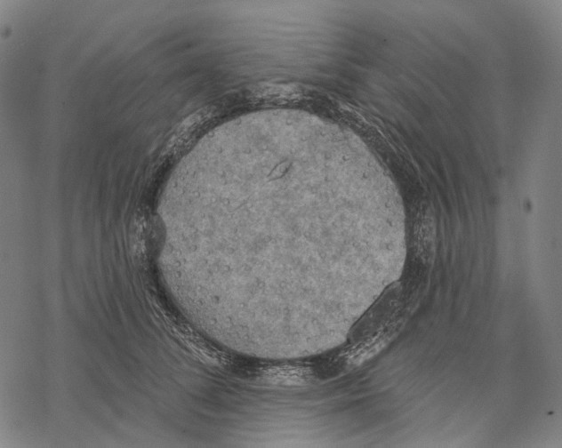 X0000067470708200605051647