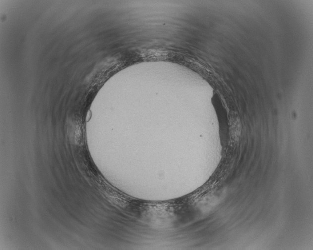 X0000067470709200605051647