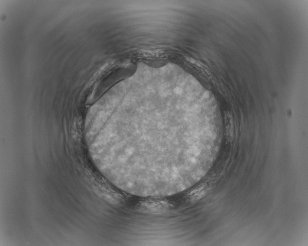 X0000067470712200605051647