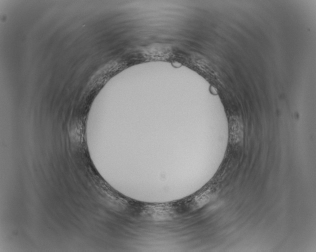 X0000067470713200605051647