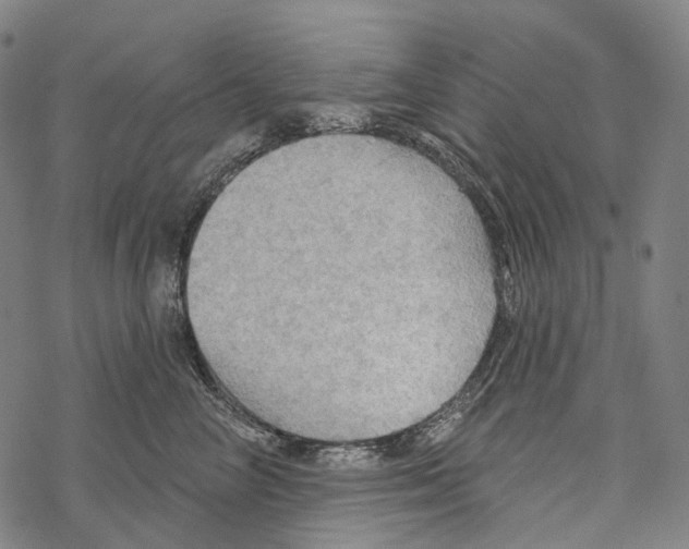 X0000067470714200605051647