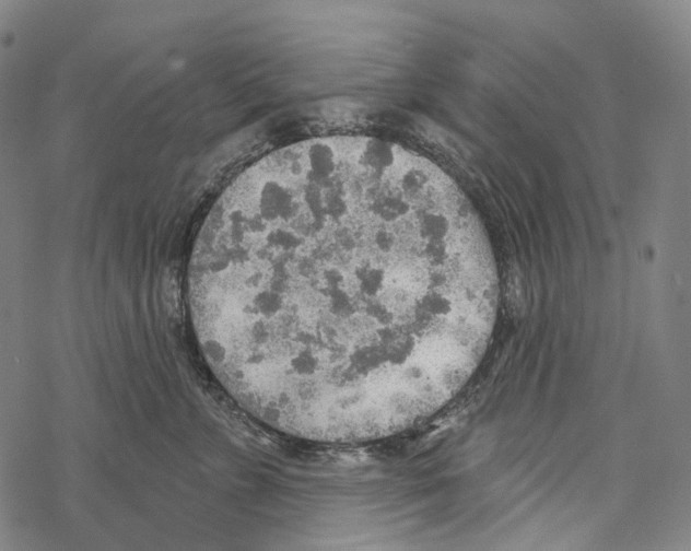 X0000067470715200605051647