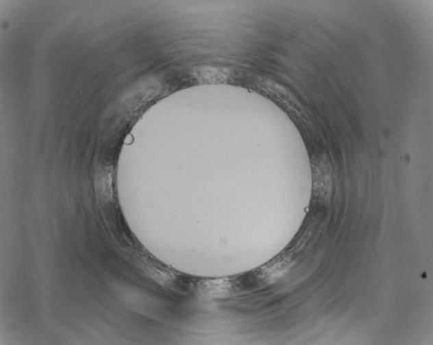 X0000067470717200605051647