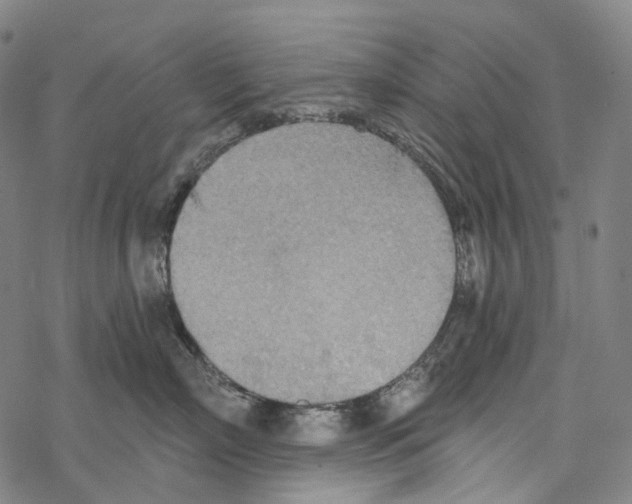 X0000067470718200605051647