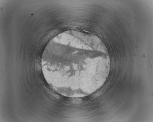 X0000067470719200605051647