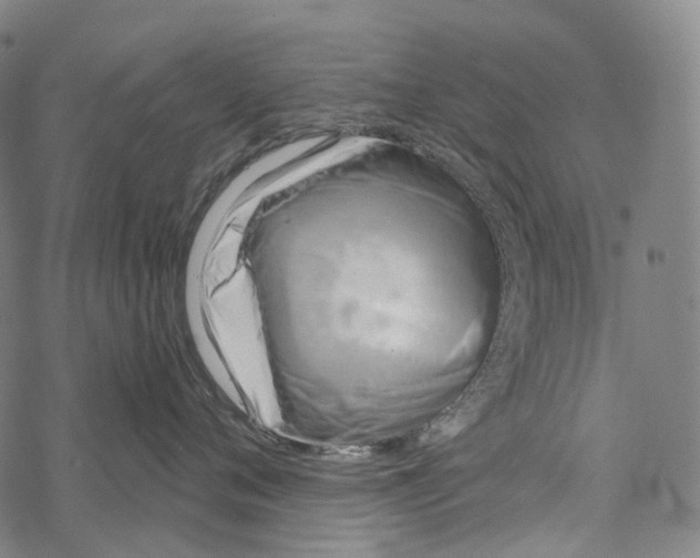 X0000067470720200605051647