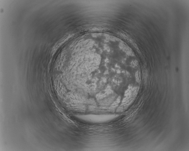 X0000067470721200605051646