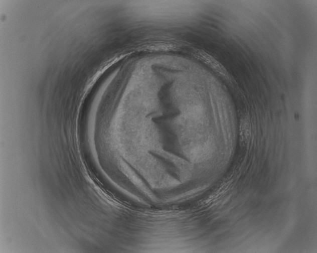 X0000067470722200605051646