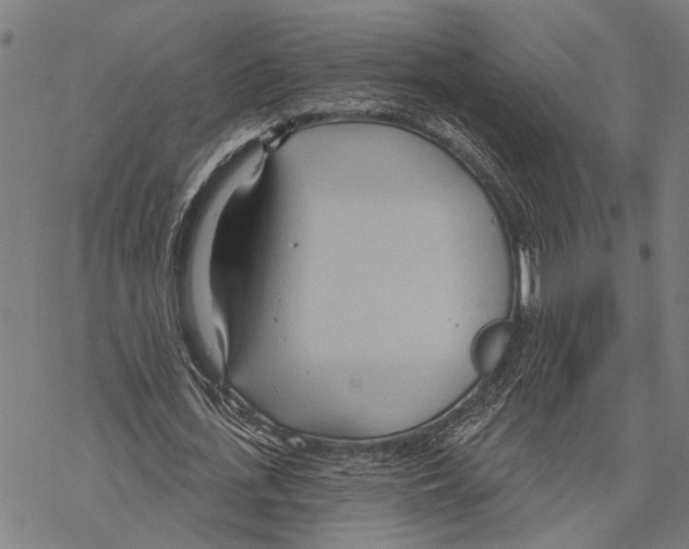 X0000067470723200605051646