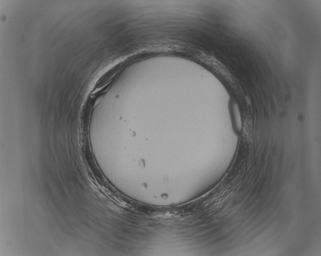 X0000067470724200605051646