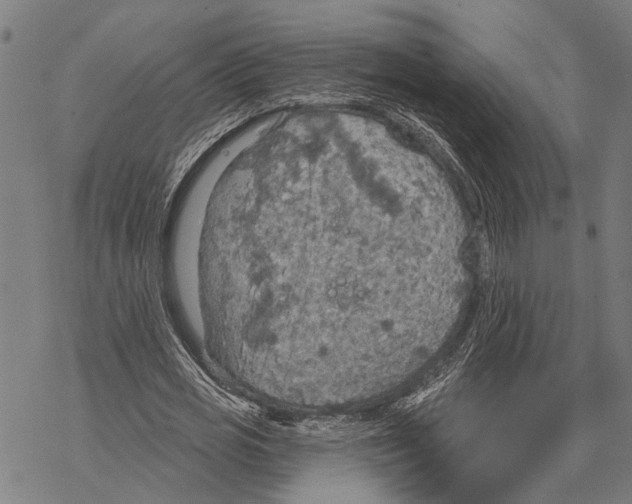 X0000067470725200605051646