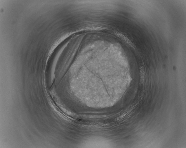 X0000067470726200605051646