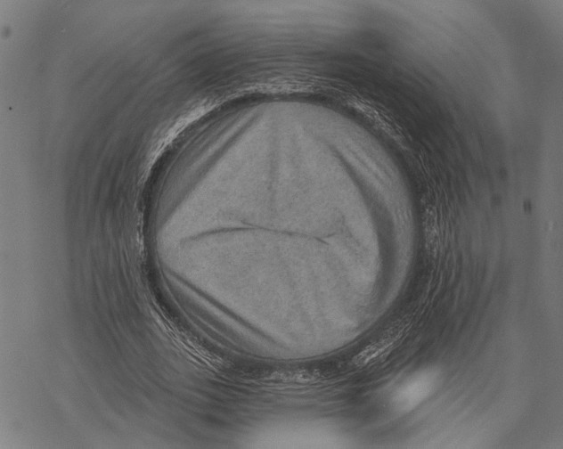 X0000067470727200605051646