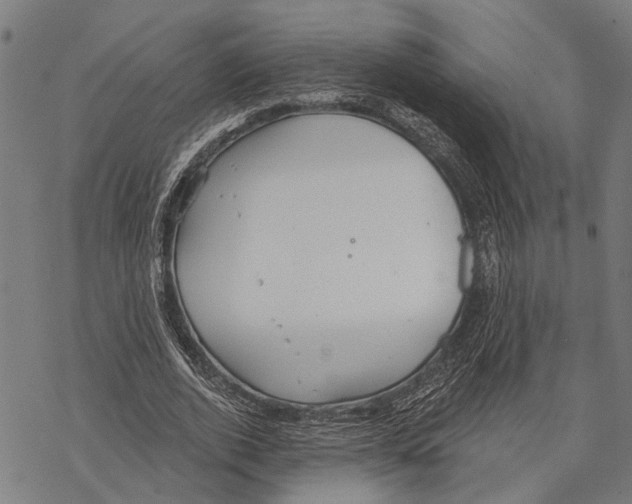 X0000067470728200605051646