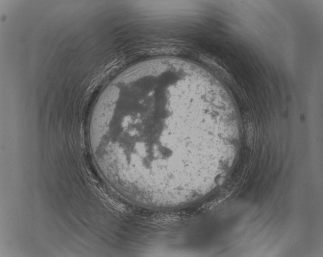 X0000067470729200605051646