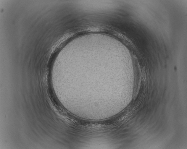 X0000067470730200605051646