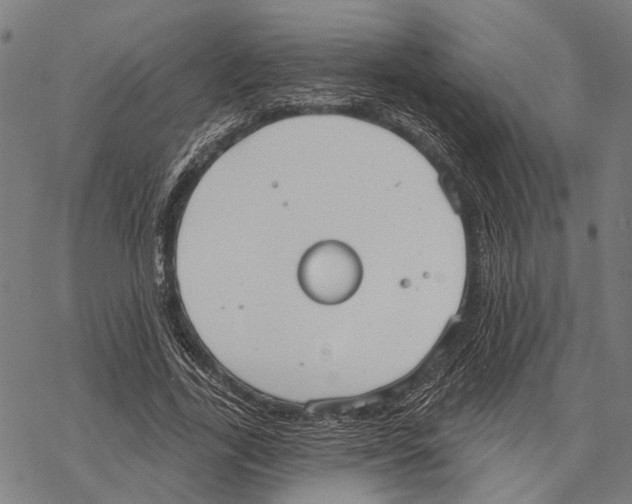 X0000067470731200605051646