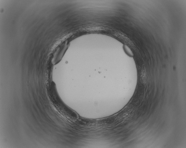 X0000067470732200605051646