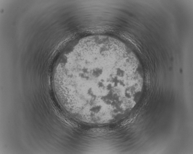 X0000067470733200605051646