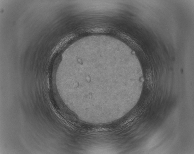 X0000067470734200605051646