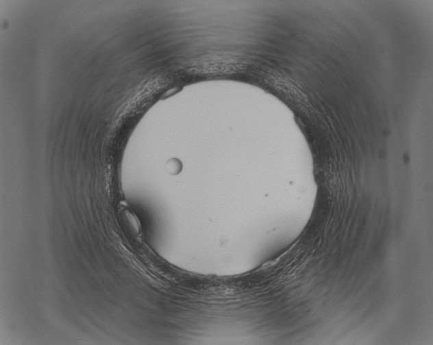 X0000067470735200605051646