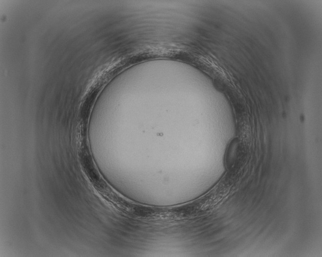 X0000067470736200605051646