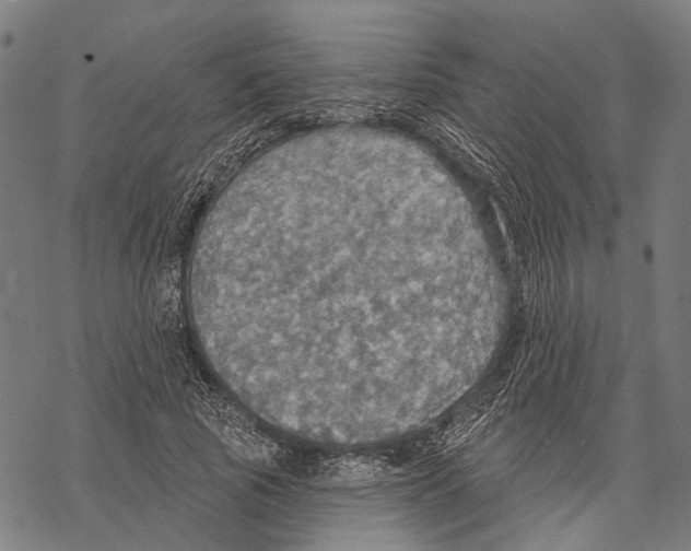 X0000067470737200605051646