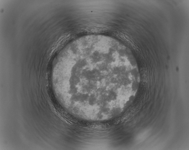 X0000067470738200605051646