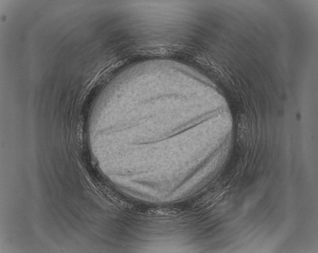 X0000067470739200605051646