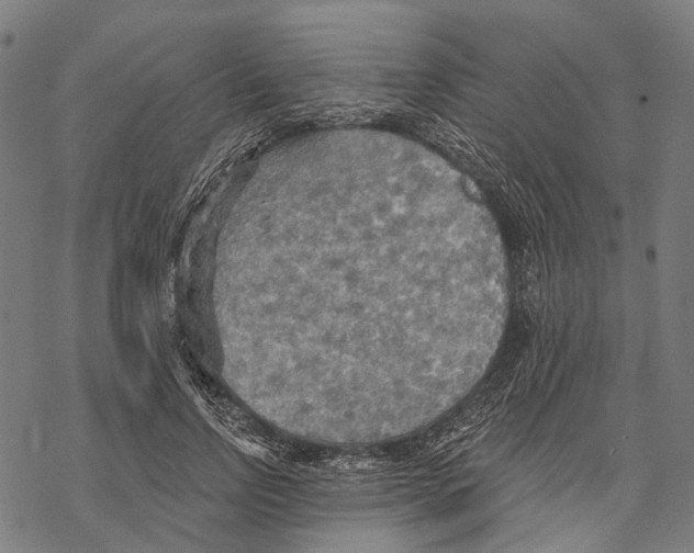 X0000067470742200605051646